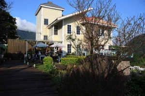 敗犬女王的拍攝地之一  綠風