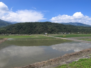 2011/02/27 沒有金針花的赤柯山
