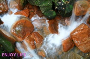 新手試貼之一張流