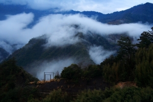 上帝的部落〔三〕司馬庫斯晨嵐與巨木群步道