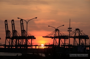 7/5台北港的美麗蛋黃