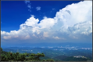 台北到處抓龜~~
