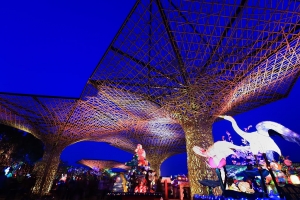 台 灣  燈  會 in  苗 栗