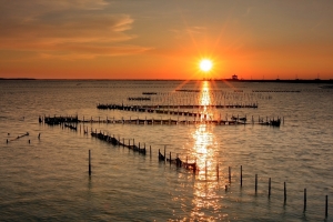 〔8.20〕七股潟湖