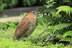 受教後的成果驗收---0309中正紀念堂---請指教-謝謝.