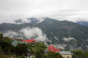 到合歡山上抓烏龜