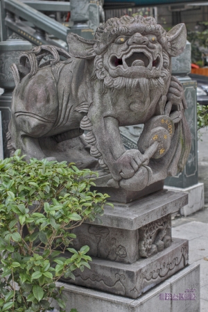 2012回台紀錄(10) - 雜拍