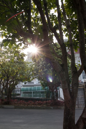 九族櫻花尾聲.....多圖