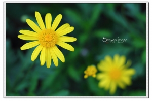 宜蘭綠博隨手拍