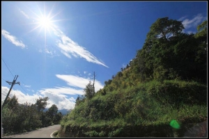 (5DII)~~新竹尖石探楓情遊記~~