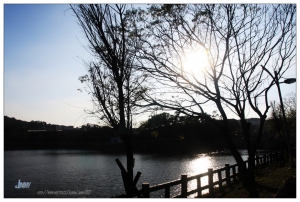 再訪青草湖  新竹