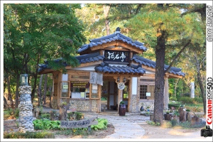 2010韓國之旅-南怡島與雪嶽山