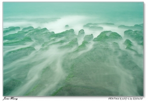 霧隱の丘。20090416老梅