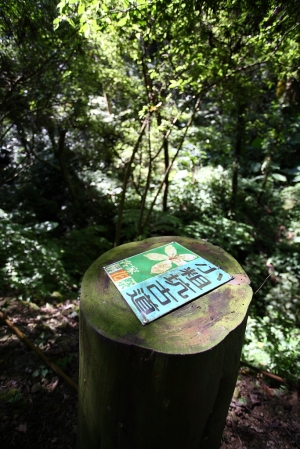 諾貝爾-小粗坑古道&石門山