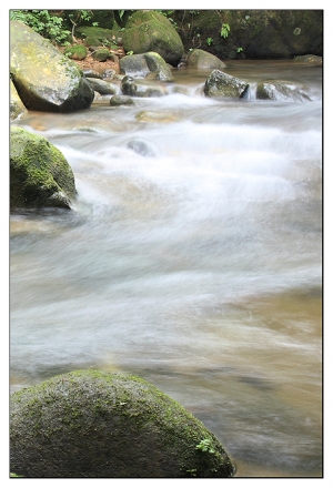 基隆 友蚋溪 2009-11-15