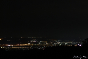 夜間觀察—睡蓮