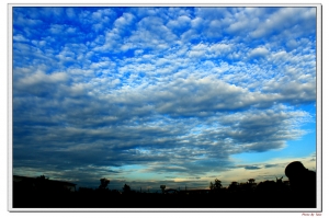 星期五的這個夜晚