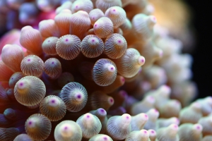 心情不好，隨便亂貼！！