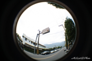 【1000D】20100101-花蓮趴趴走