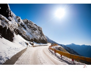 ~龍年合歡雪景~