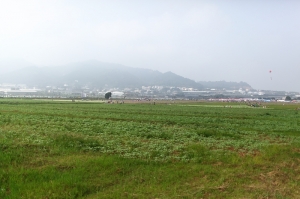 台中縣新社鄉花海節