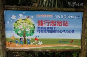 4/25龍潭崑崙藥用植物園桐花