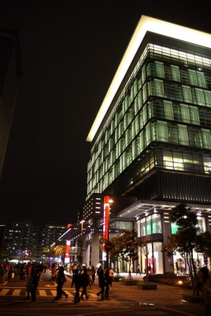 2009 101跨年煙火 DSLR首拍