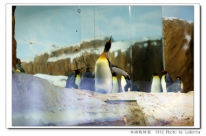 luderca的旅遊玩樂日記Part XVI:台北文山-木柵動物園