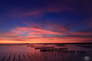 七股黑卡二張流(這次不騙積分了)