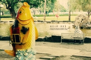 散步隨拍