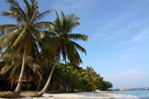 馬來西亞浪中島