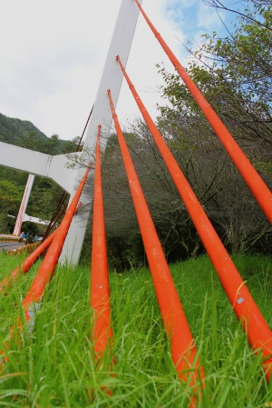 [小哈]我回來了之武陵楓葉還沒開><