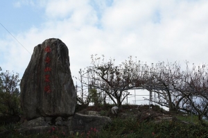 楓情萬種福壽山農場