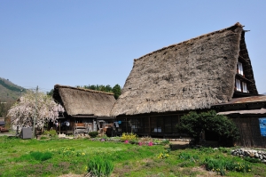北陸之旅9-白川鄉合掌村