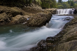 小 j 到大豹溪走走