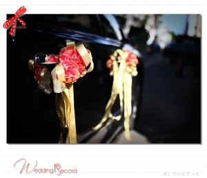 Wedding Record