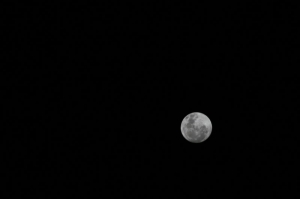 550D+55-250mm 《V.S 》G11篇