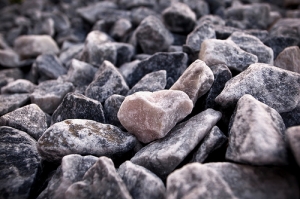 探訪疏洪道~拈花惹草