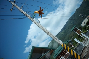 赤柯山金針花