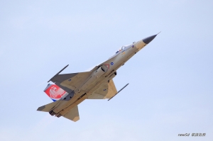 空軍之帥氣的IDF