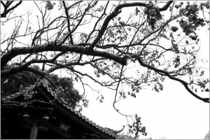 110219在花博