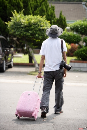 午後の日光 小Q