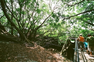 [EOS 50QD] FUJI X-TRA 400