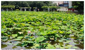 ABBY遊植物園