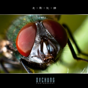 ::: Super Macro 超級微距 :::