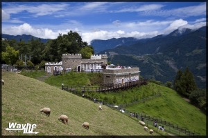 合歡山│日月潭 和CF報肝團攝影之旅
