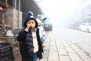 霧鎖三義木雕村
