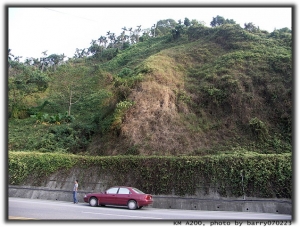 女孩PLAY  DOG in 日月潭