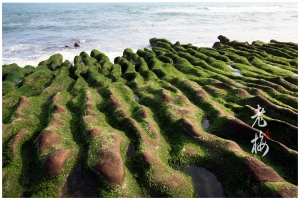 [石門]北海岸奇觀‧老梅石槽藻礁