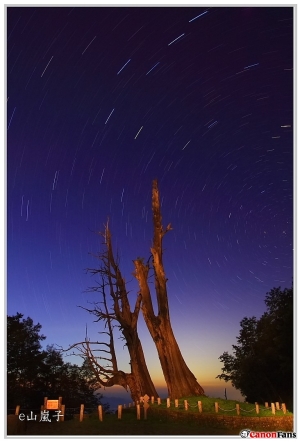 新中橫 追雲望月